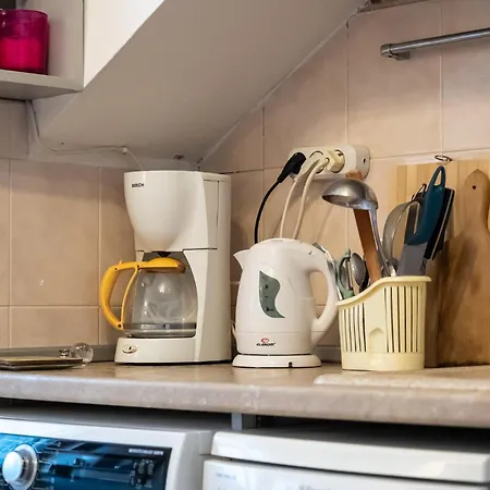 1bdrm Downtown Apartament *