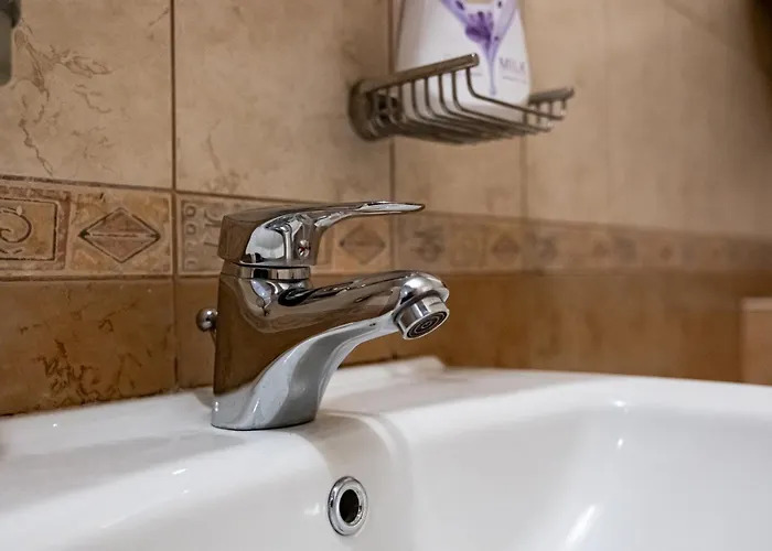 Daire 1bdrm Downtown *