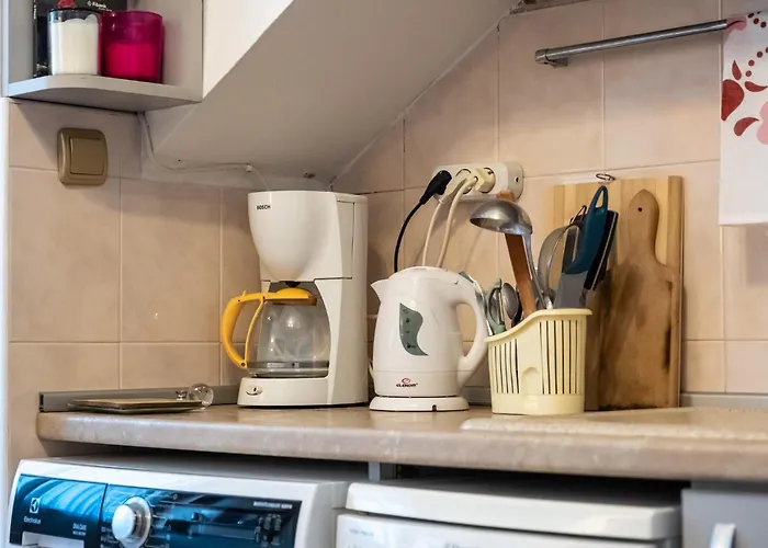 1bdrm Downtown Daire *